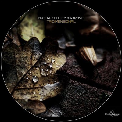 Nature Soul Cybertronic - Tridimensional download mp3 flac