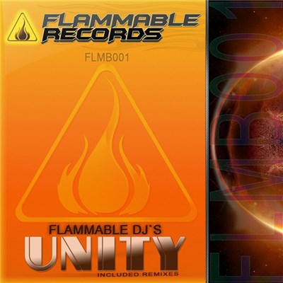 Flammable DJ's - Unity download mp3 flac
