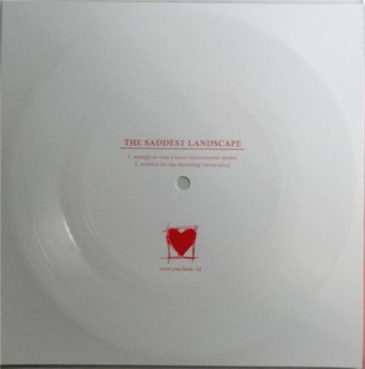 The Saddest Landscape - Flexi #1 download mp3 flac