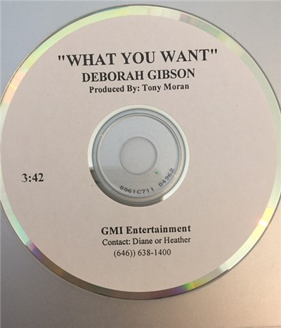Deborah Gibson - What You Want download mp3 flac