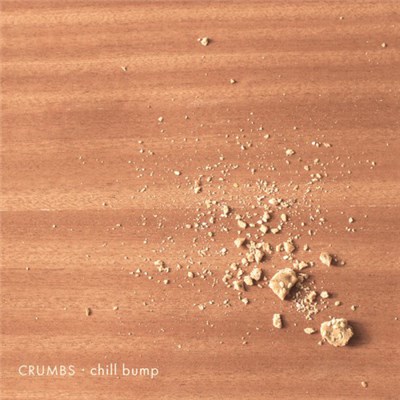 Chill Bump - Crumbs download mp3 flac