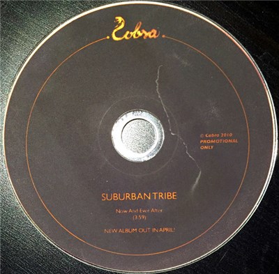Sub-Urban Tribe - Now And Ever After download mp3 flac
