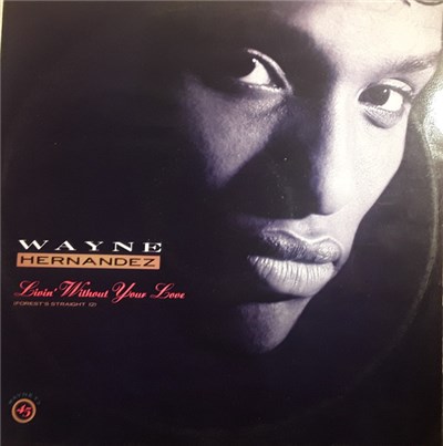 Wayne Hernandez - Livin' Without Your Love download mp3 flac