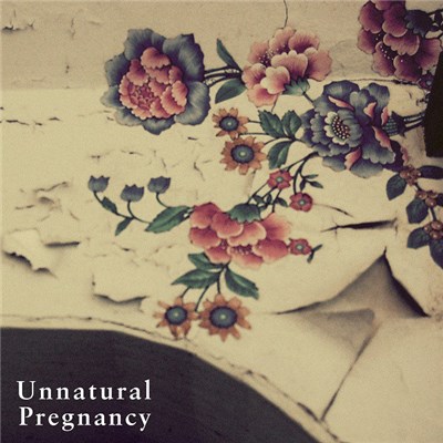 Strawberry King - Unnatural Pregnancy download mp3 flac