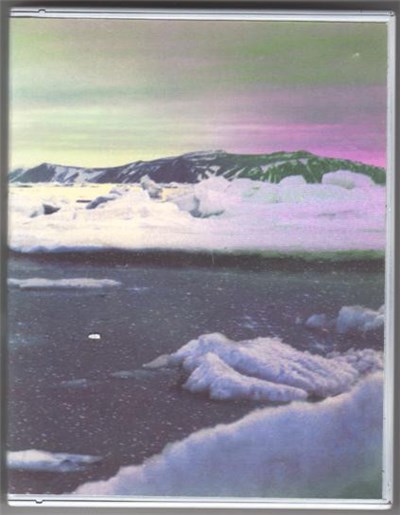 Caspian Tern / Whispering Pines / Pink Desert / Pale Horse - Illuminated Century download mp3 flac