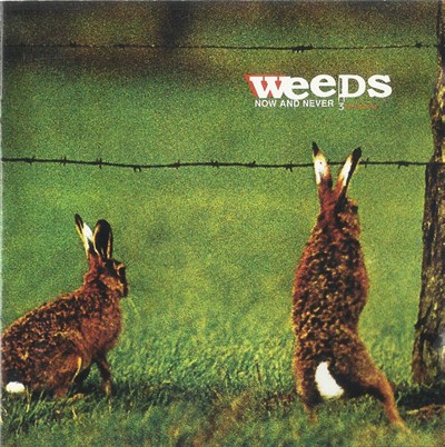 Weeds - Now And Never download mp3 flac