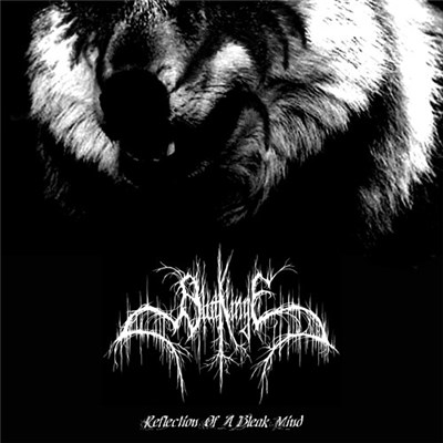 Blutklinge - Reflection Of A Bleak Mind download mp3 flac