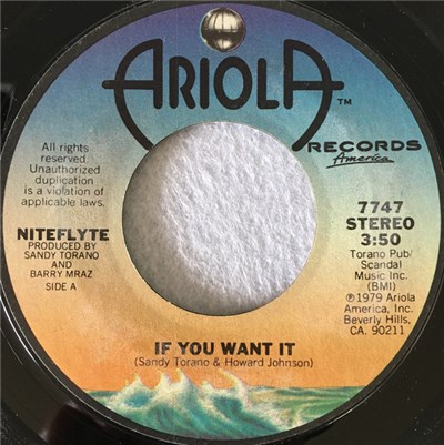 Niteflyte - If You Want It / I Wonder (If I'm Falling In Love Again) download mp3 flac