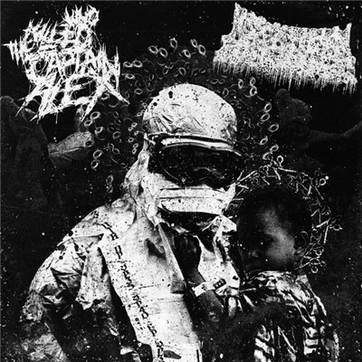 X's Xenial Xanthippes Xenophobia (xXxXxXxXx) & Who Killed The Captain Alex? - Ebola Strikes Back download mp3 flac