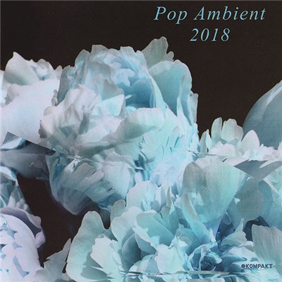 Various - Pop Ambient 2018 download mp3 flac