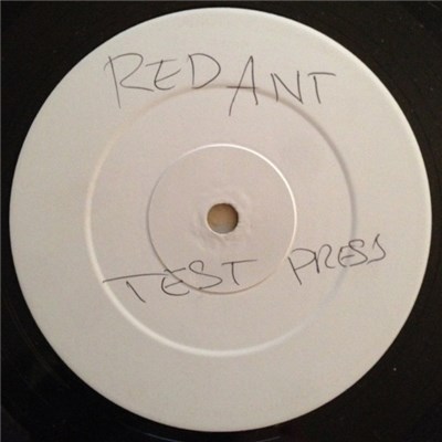 X Rated Cru And DJ Red Ant - Never Say Never download mp3 flac