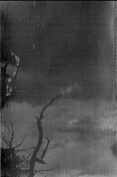 Tümëur - Sédition download mp3 flac