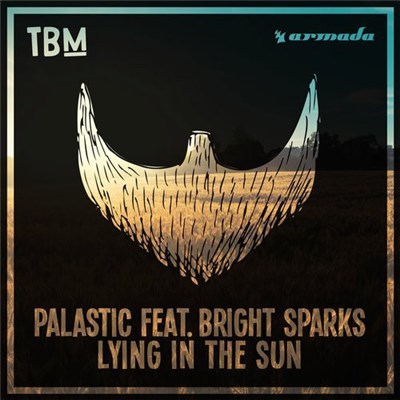 Palastic Feat. Bright Sparks - Lying In The Sun download mp3 flac