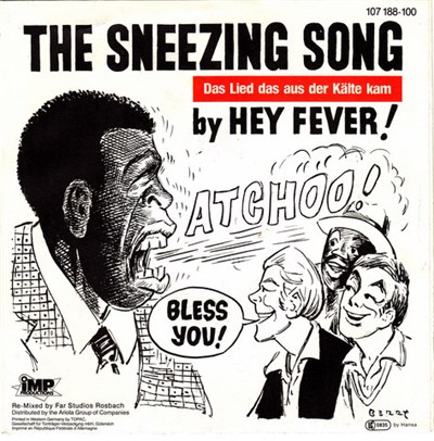 Hey Fever! - The Sneezing Song download mp3 flac