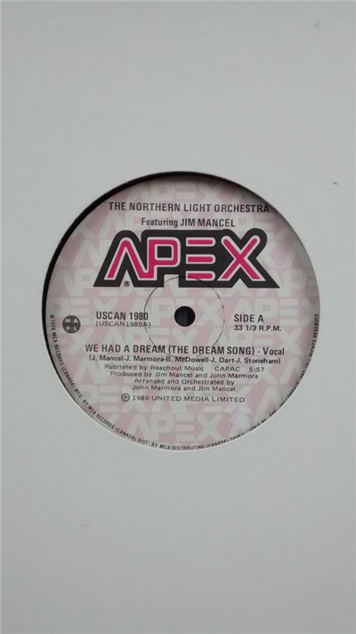 The Northern Light Orchestra Featuring Jim Mancel - We Had A Dream (The Dream Song) download mp3 flac