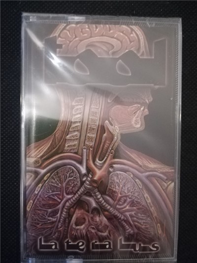 Tool - Lateralus download mp3 flac