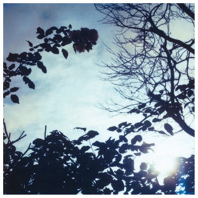 Pillow - Flowing Seasons download mp3 flac