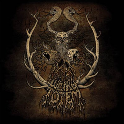 Weird Totem - A trace of infinite download mp3 flac