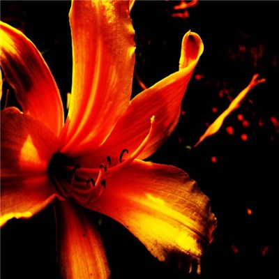 Anew - The Strain EP download mp3 flac