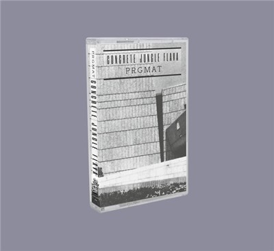 PRGMAT - Concrete Jungle Flava download mp3 flac