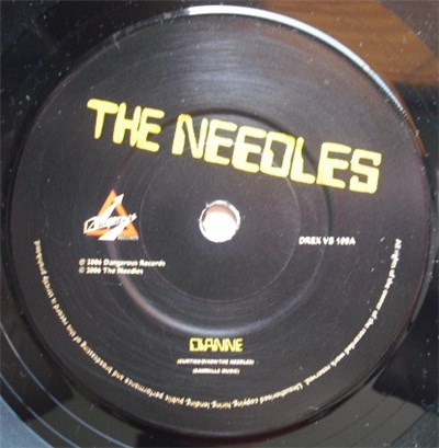 The Needles - Dianne download mp3 flac