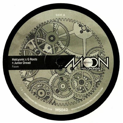 Halcyonic & G Roots Feat. Junior Dread - Future download mp3 flac