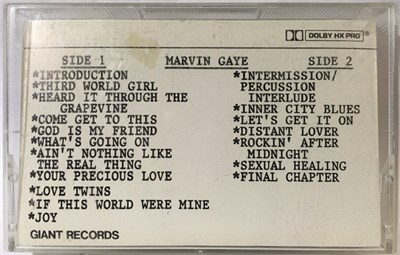 Marvin Gaye - The Last Concert Tour download mp3 flac