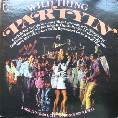 Wild Thing - Partyin' download mp3 flac