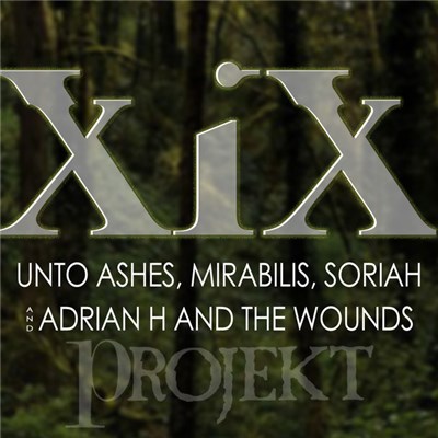Various - XiX download mp3 flac