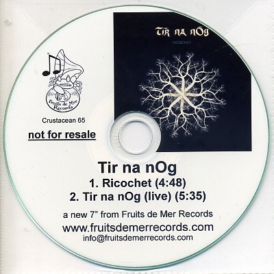 Tír na nÓg - Ricochet download mp3 flac