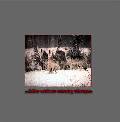 Various - ...Like Wolves Among Sheeps. download mp3 flac