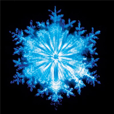 Coil - The Snow download mp3 flac