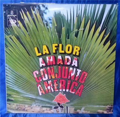 Conjunto America - La Flor Amada download mp3 flac