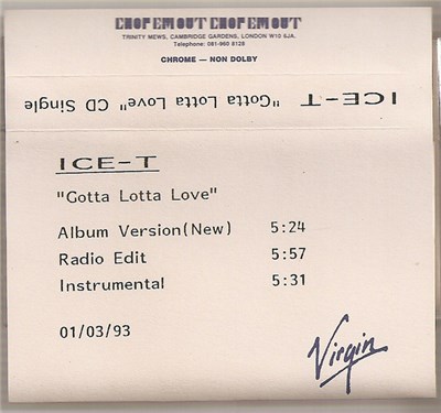 Ice-T - Gotta Lotta Love download mp3 flac