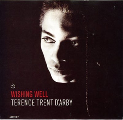 Terence Trent D'Arby - Wishing Well download mp3 flac