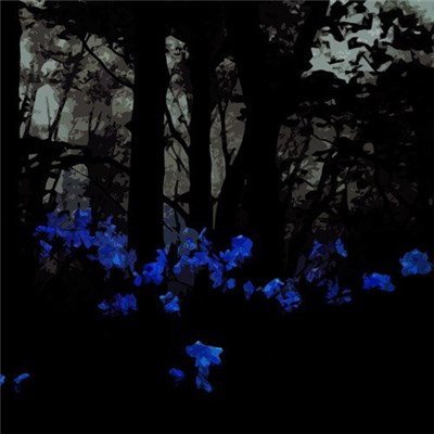 Saturnine's Garden - Twelve download mp3 flac