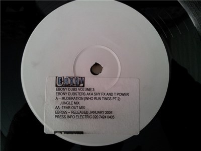 Ebony Dubsters - Ebony Dubs Vol. 3 download mp3 flac