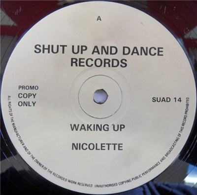 Nicolette - Waking Up download mp3 flac