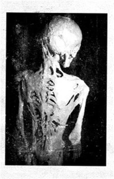 Mors Prometheus, Body Stress - Diurnal Decadence download mp3 flac