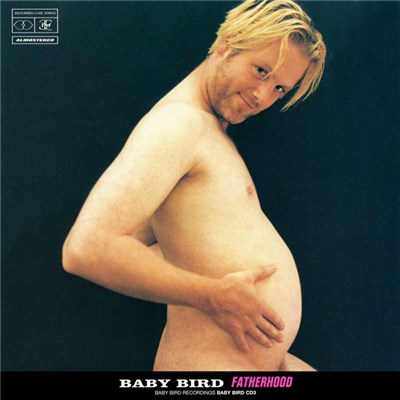 Baby Bird - Fatherhood download mp3 flac