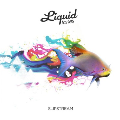Various - Slipstream download mp3 flac