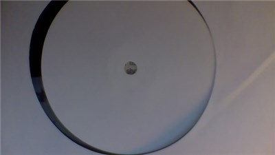 DJ Disciple - Wannabe download mp3 flac