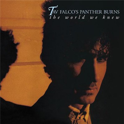 Tav Falco's Panther Burns - The World We Knew download mp3 flac