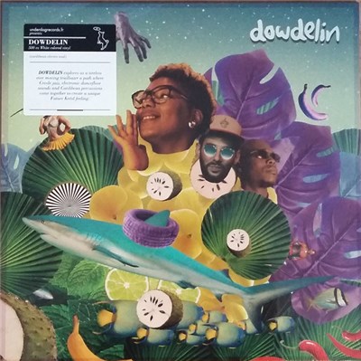 Dowdelin - Carnaval Odyssey download mp3 flac