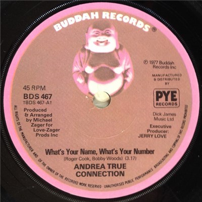 Andrea True Connection - What's Your Name, What's Your Number download mp3 flac