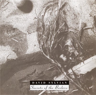 David Sylvian - Secrets Of The Beehive download mp3 flac
