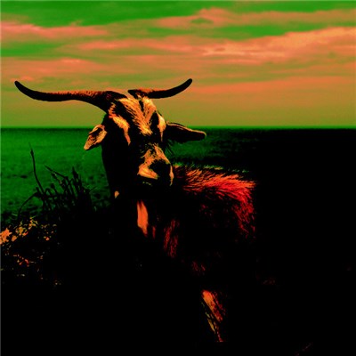 Sycantrhope - Septimo Movimiento download mp3 flac