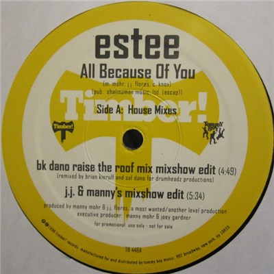Estee - All Because Of You download mp3 flac