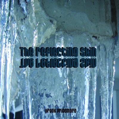 Brook Pridemore - The Reflecting Skin download mp3 flac