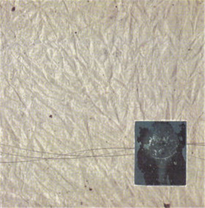 Various - Earth Tone Collectiv download mp3 flac